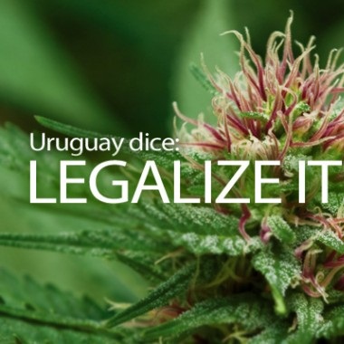 Uruguay legalize it