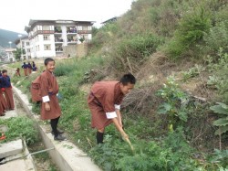 Im Jahr 2010 helfen Schulkinder bei Vernichtungsaktionen in Thimphu, der Hauptstadt Bhutans (© bhutanobserver.bt)