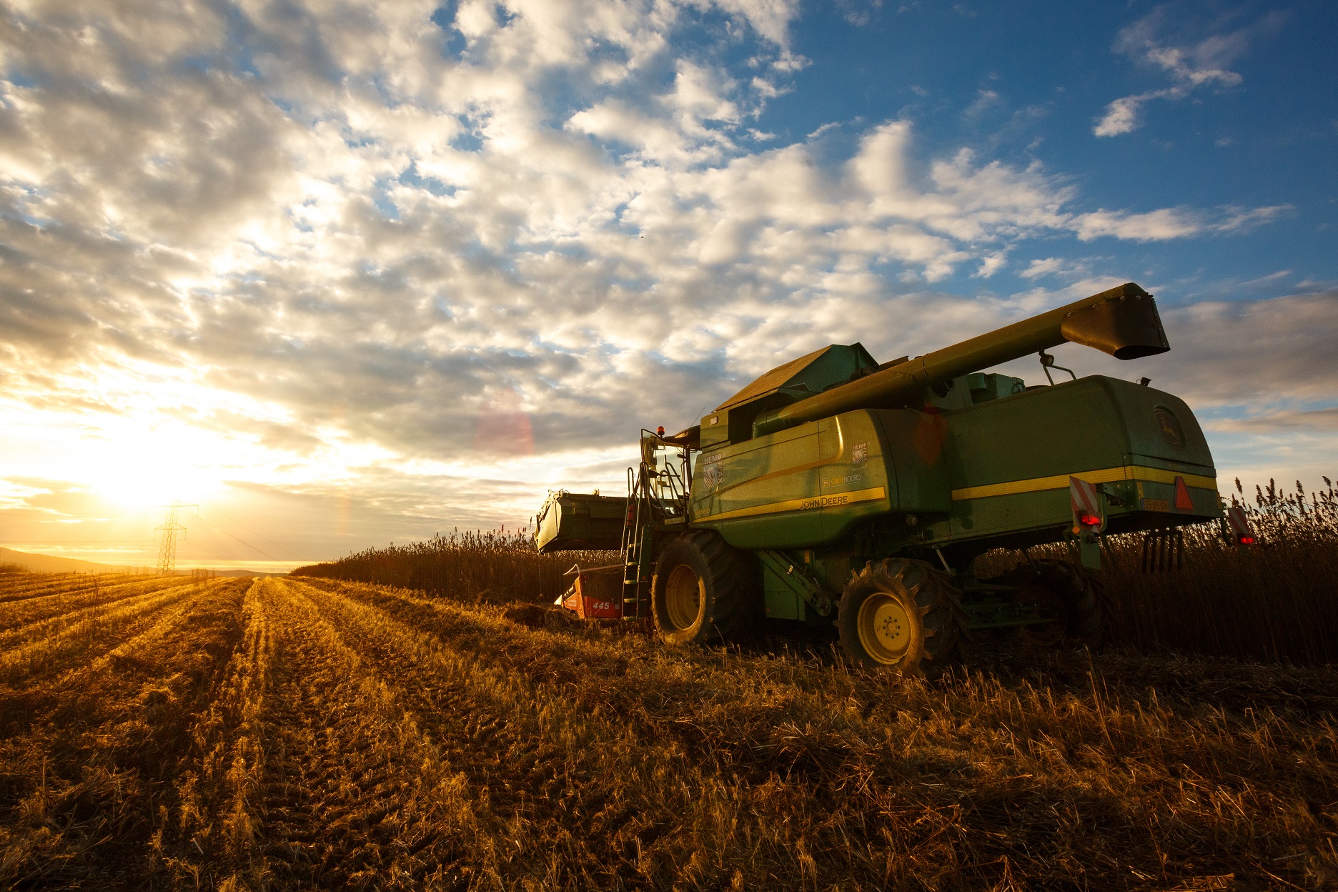 HempFlax investiert 5 Mio. € in Rumänischen Hanfindustrie - Sensi Seeds