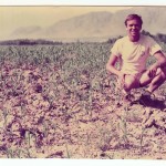 Ben in Afghanistan in the 1970s, in a field of corn and cannabis seedlings
