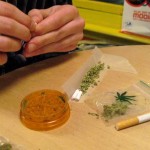 Strong cannabis now a hard drug according to Dutch government