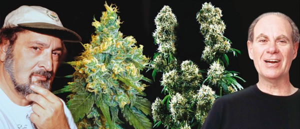 Jack Herer and Ed Rosenthal