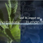 Medical Cannabis and Its Impact on Human Health