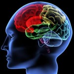 Cannabis use is associated with lower mortality risk in patients with psychotic disorders
