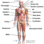 Five Scientific Conclusions about Cannabis that the Mainstream Media Doesn’t Want You to Know