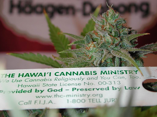 Cannabis has been used as a sacrament by many religious groups, ancient and modern