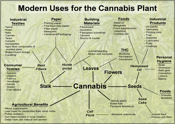 Modern Uses Cannabis