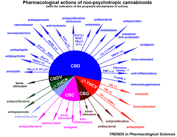 cannabis-piechart