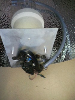 A burned light fitting caused by bad wiring - not good grow room safety!