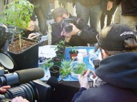 Belgium has several cannabis social clubs supplying small quantities to individuals in need