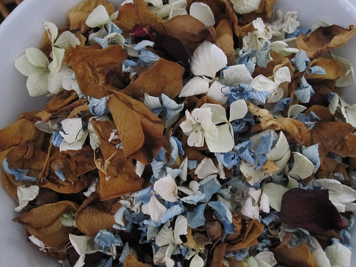 Una gran variedad de flores secas, semillas y otros productos pueden añadirse para aumentar su atractivo visual y añadir aroma © Hecuba´s Story) Una gran variedad de flores secas, semillas y otros productos pueden añadirse para aumentar su atractivo visual y añadir aroma © Hecuba´s Story)