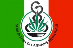 cannabis mÃ©dicinal en Italie