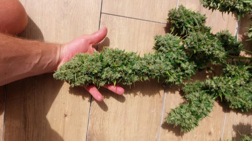 Leer la reseña de esta foto