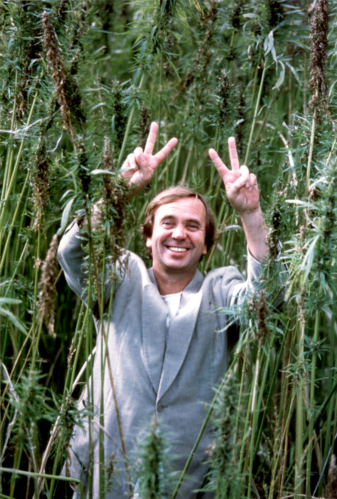 A jubilant Ben Dronkers in a field of Dutch hemp