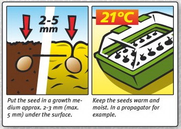 Growing medium and propagator