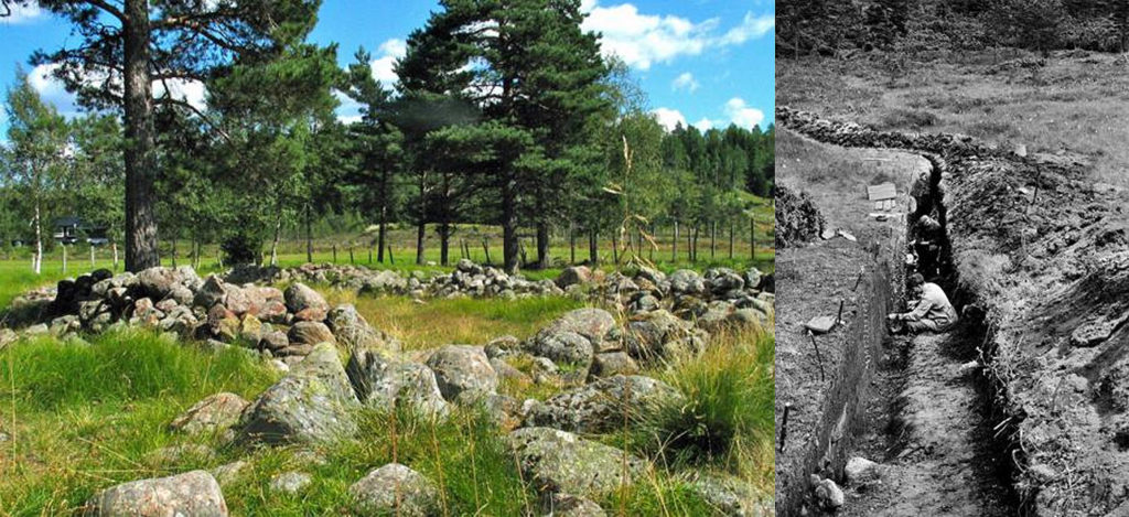 Los Vikingos Noruegos plantaban cáñamo