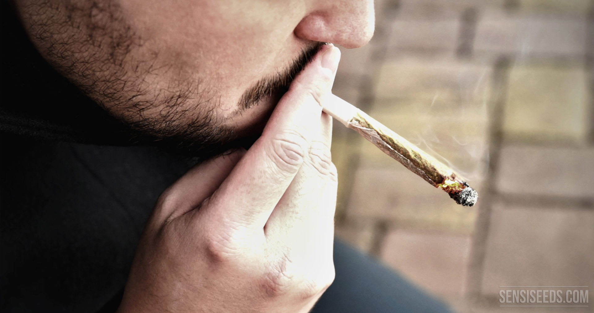 Veilig stoned worden voor beginners Sensi