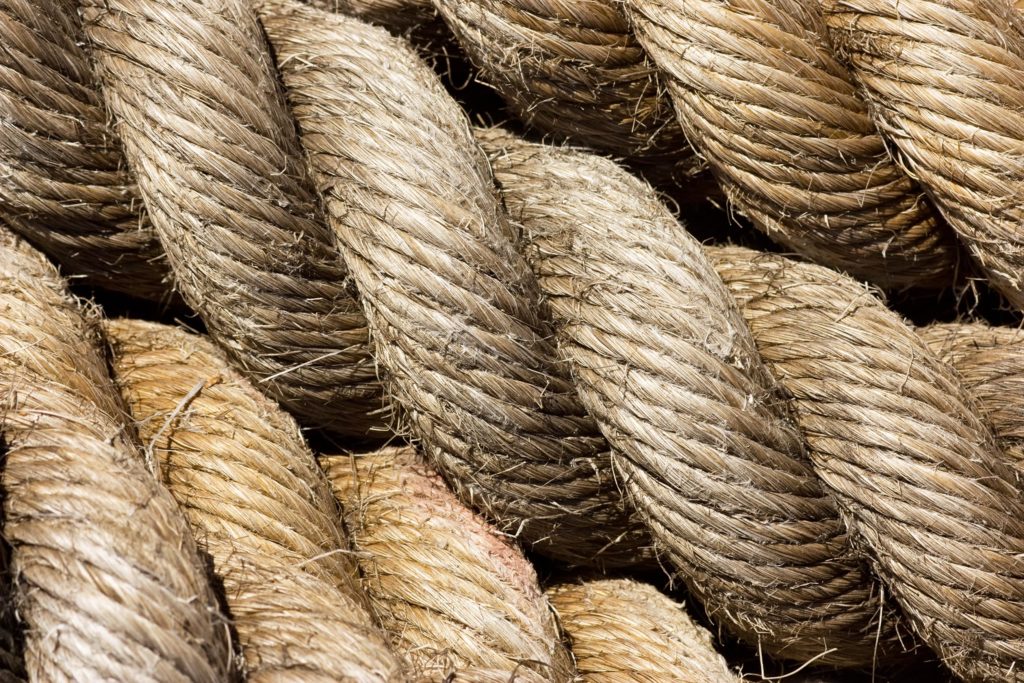 How to start a hemp business: UK