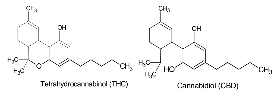 Les molécules de THC et de CBD, montrant leur grande ressemblance
