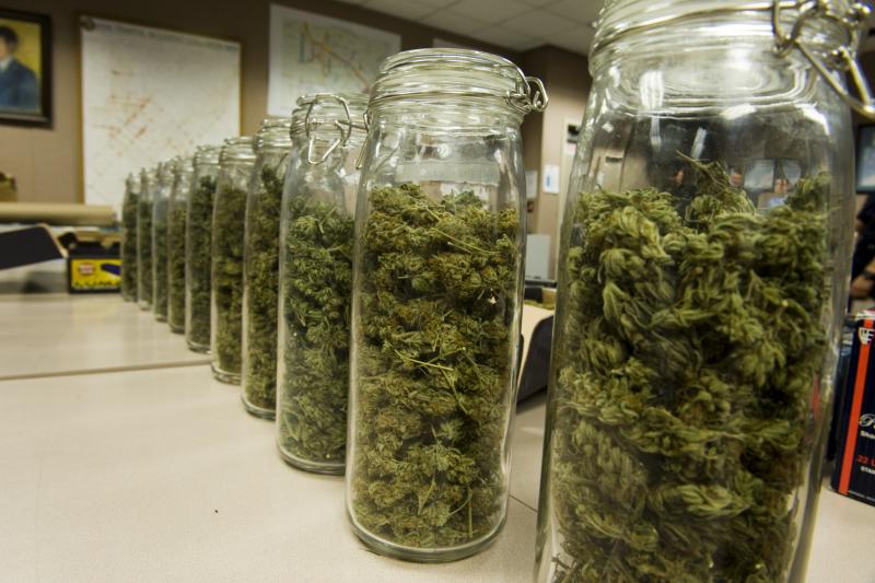 When cut and stored, the THC in cannabis begins to degrade to CBN