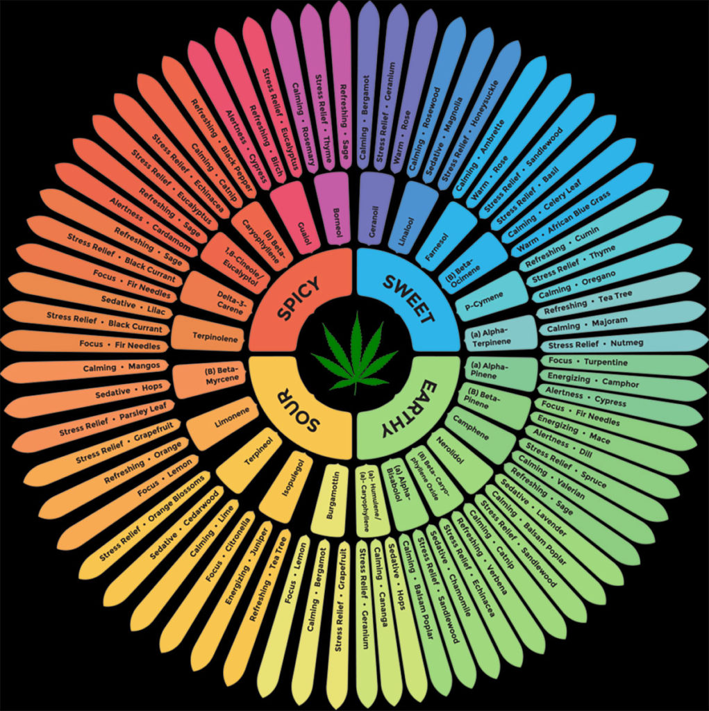 Terpenes In Cannabis 1021x1024 