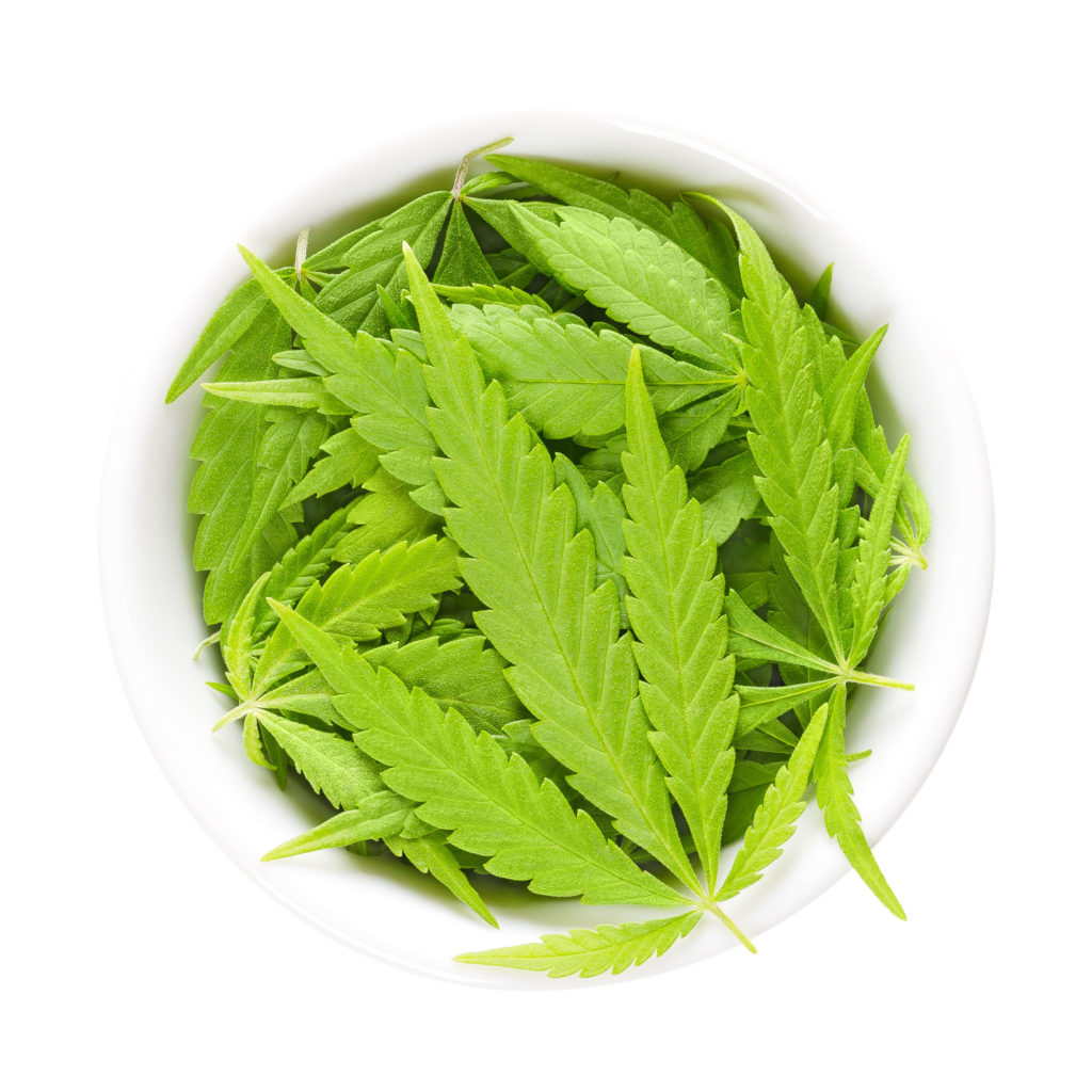 Verschiedene Möglichkeiten der Einnahme von medizinischem Cannabis