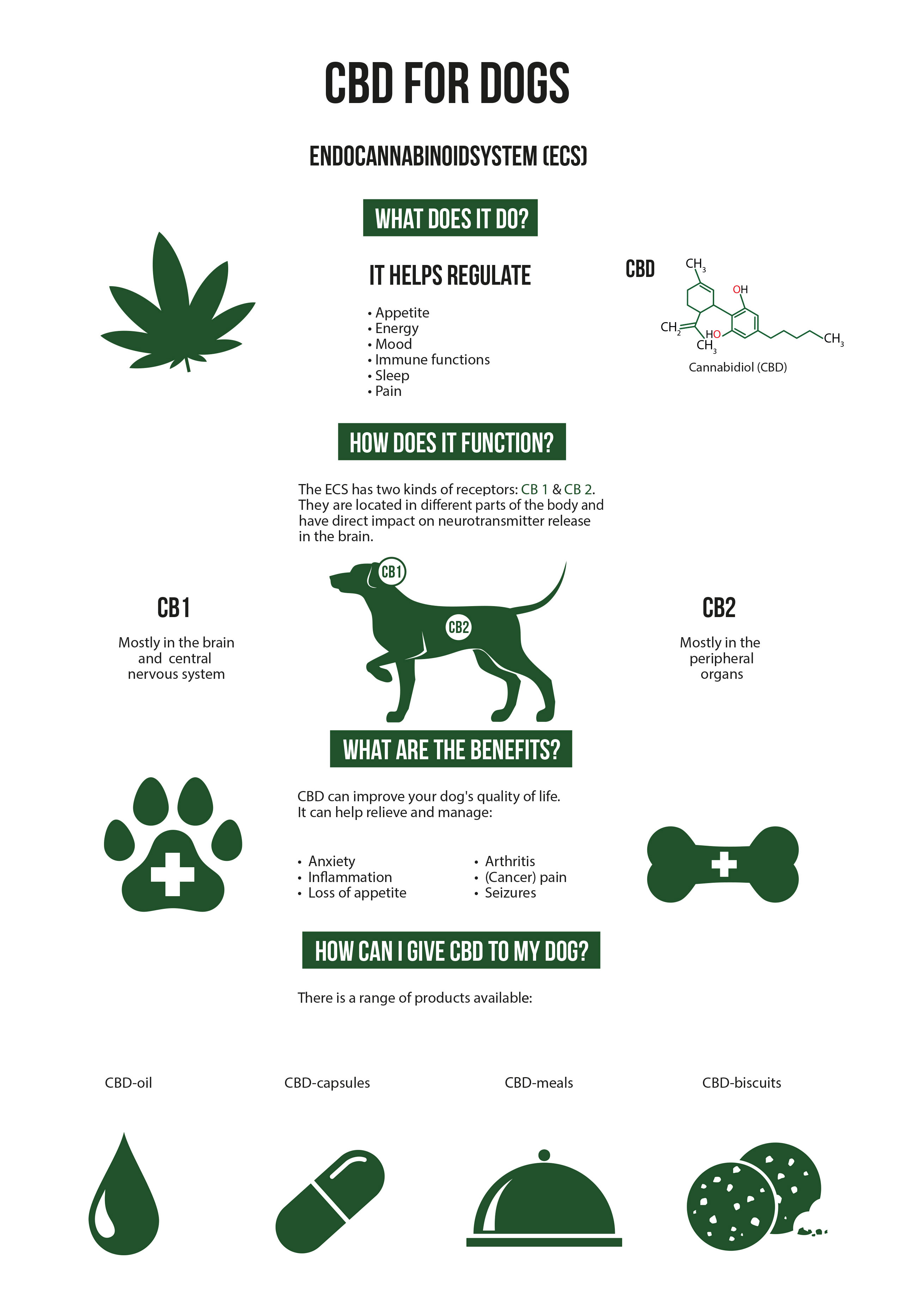 Cannabis and animals? Yes, but with care! – Sensi Seeds