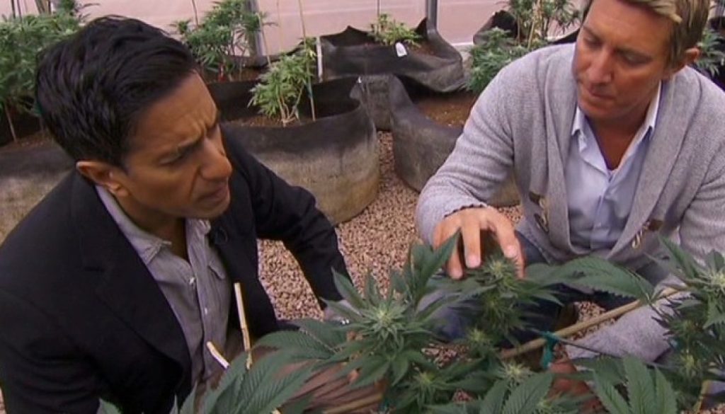 New cannabis documentary by Dr. Sanjay Gupta continues his post-conversion research - Sensi Seeds Blog