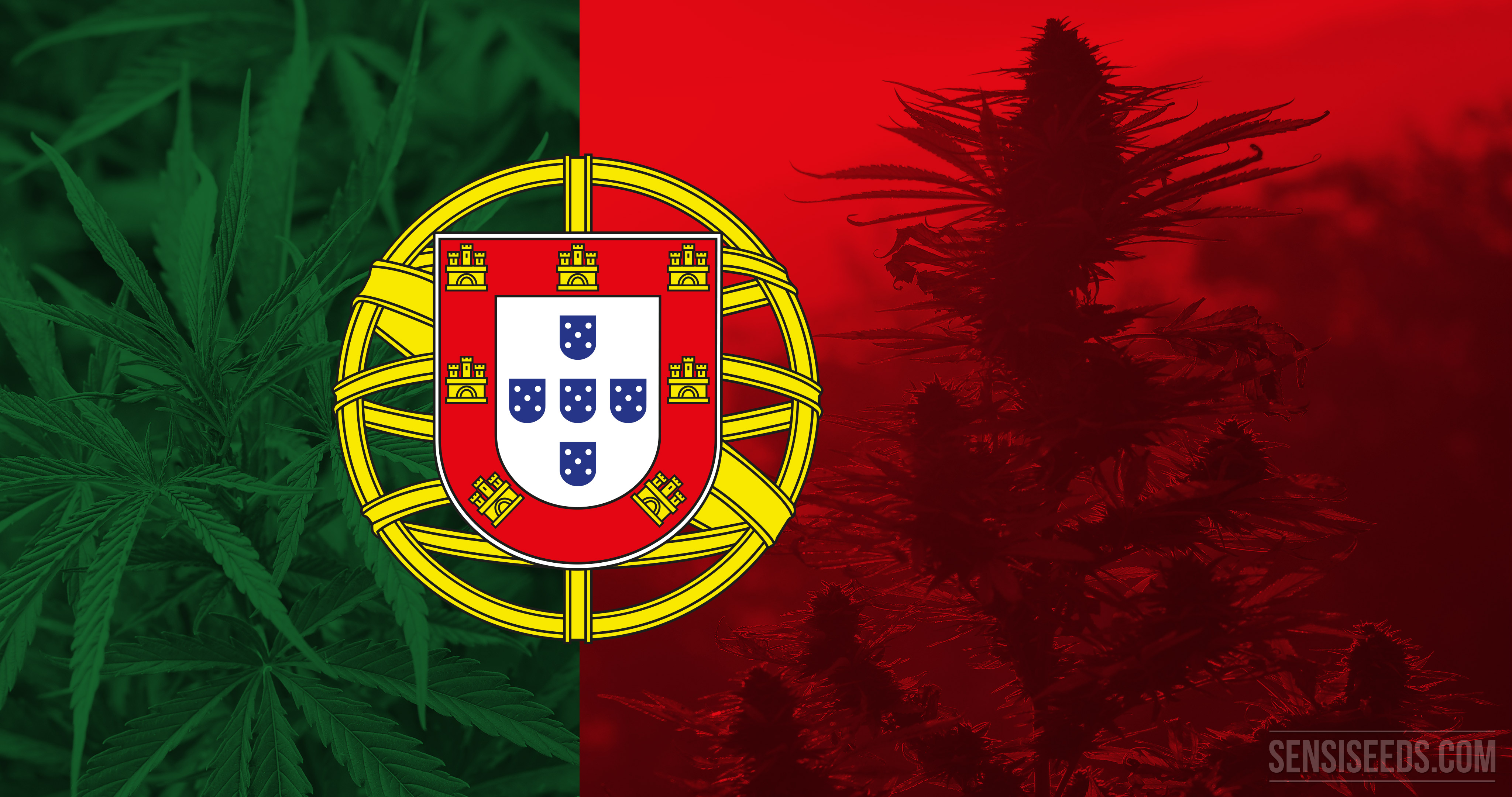 Cannabis in Portugal