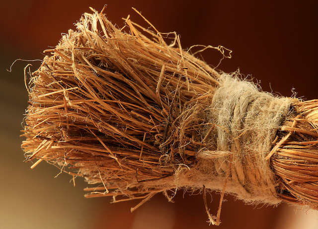 Hemp fibres contain up to 70% cellulose, and are a good potential source of ethanol (© Arbyreed)