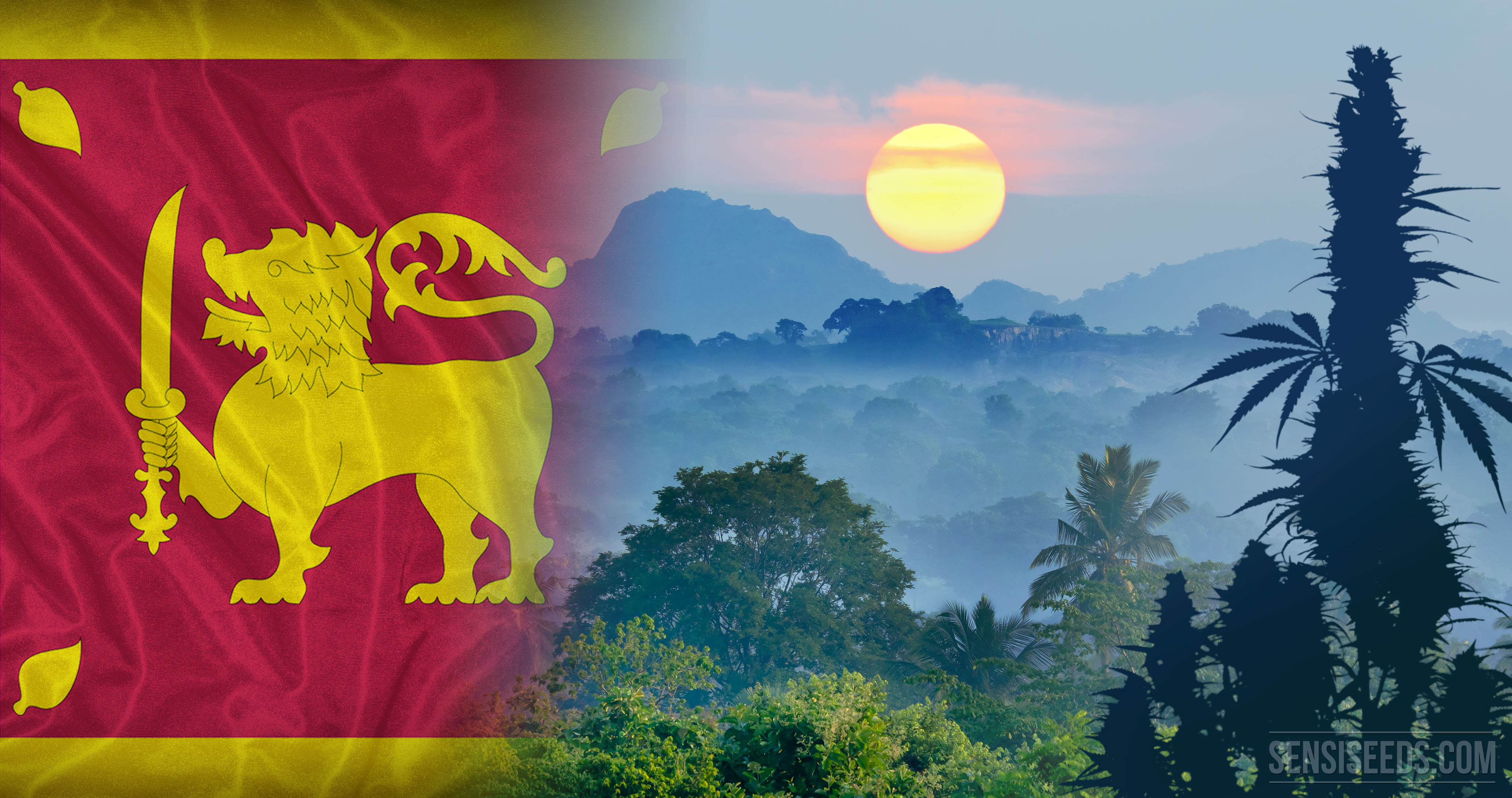 Cannabis In Sri Lanka