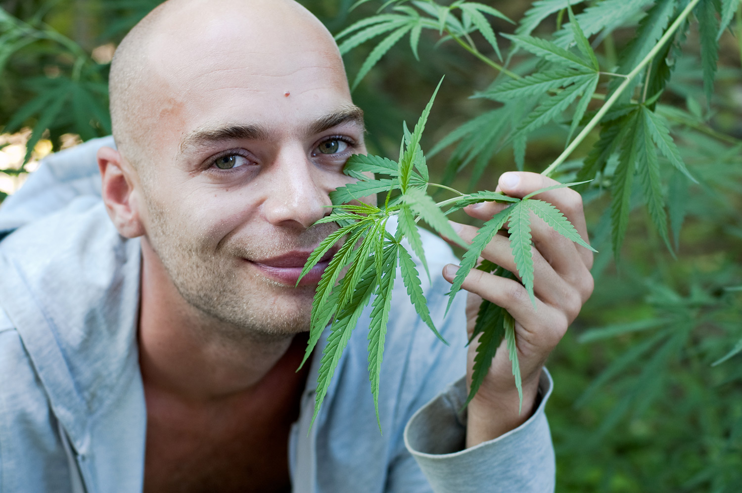 Top 5 benefits of cannabis for cancer sufferers - Sensi Seeds