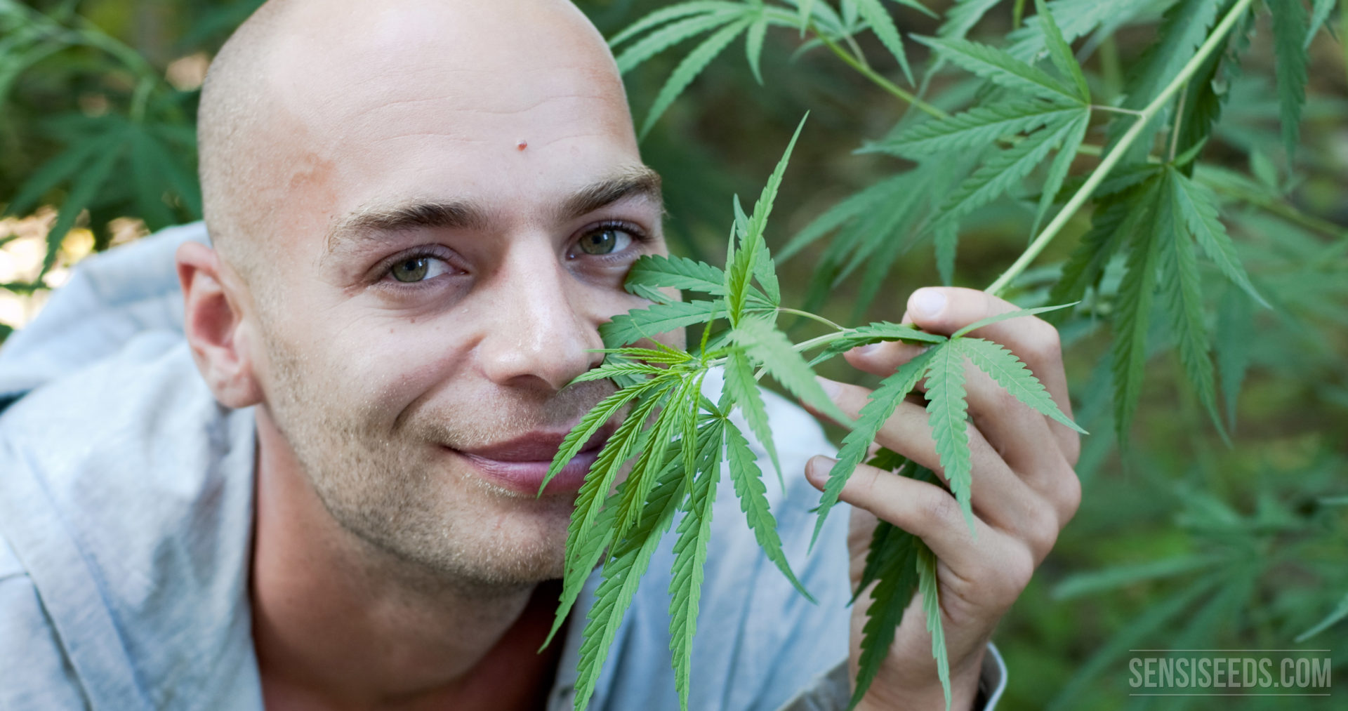 Principaux avantages du cannabis pour les malades du cancer Principaux avantages du cannabis pour les malades du cancer