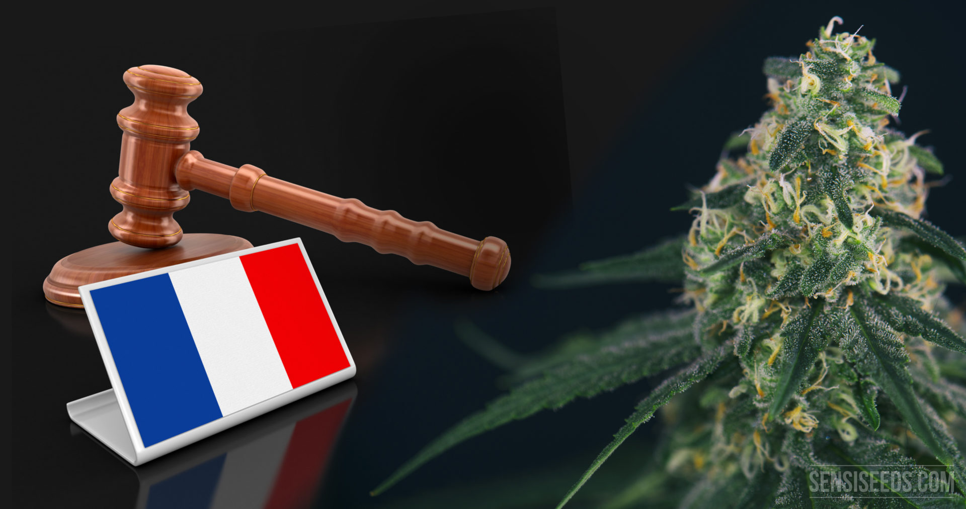 legal-status-of-cannabis-in-france-an-overview