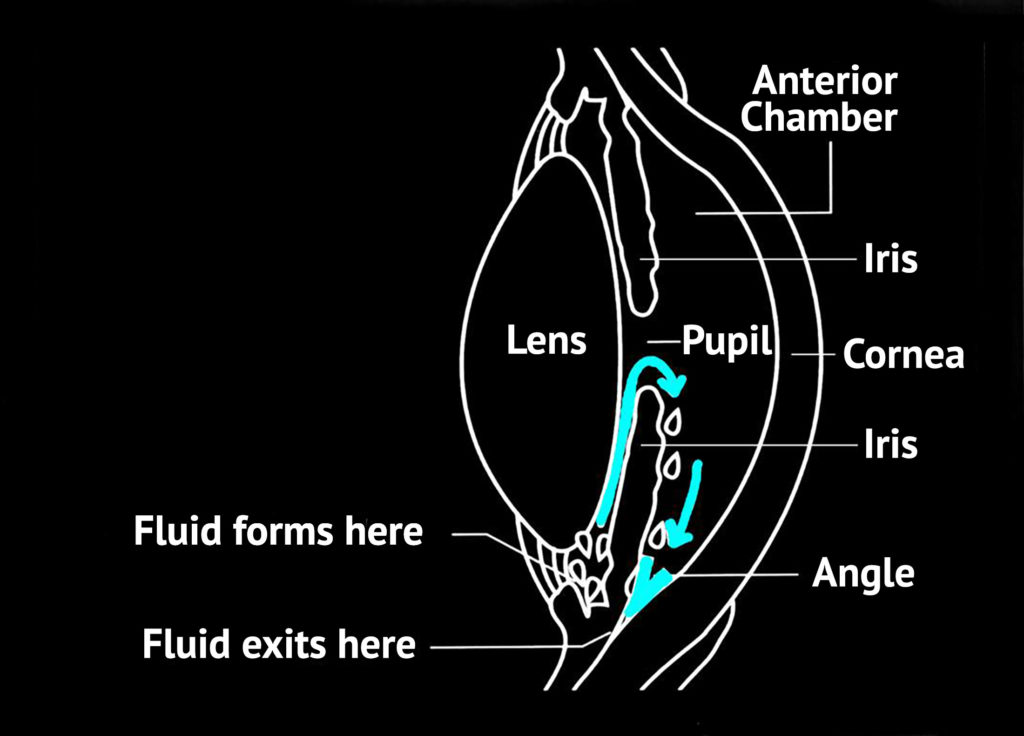 Top 4 benefits of cannabis for glaucoma