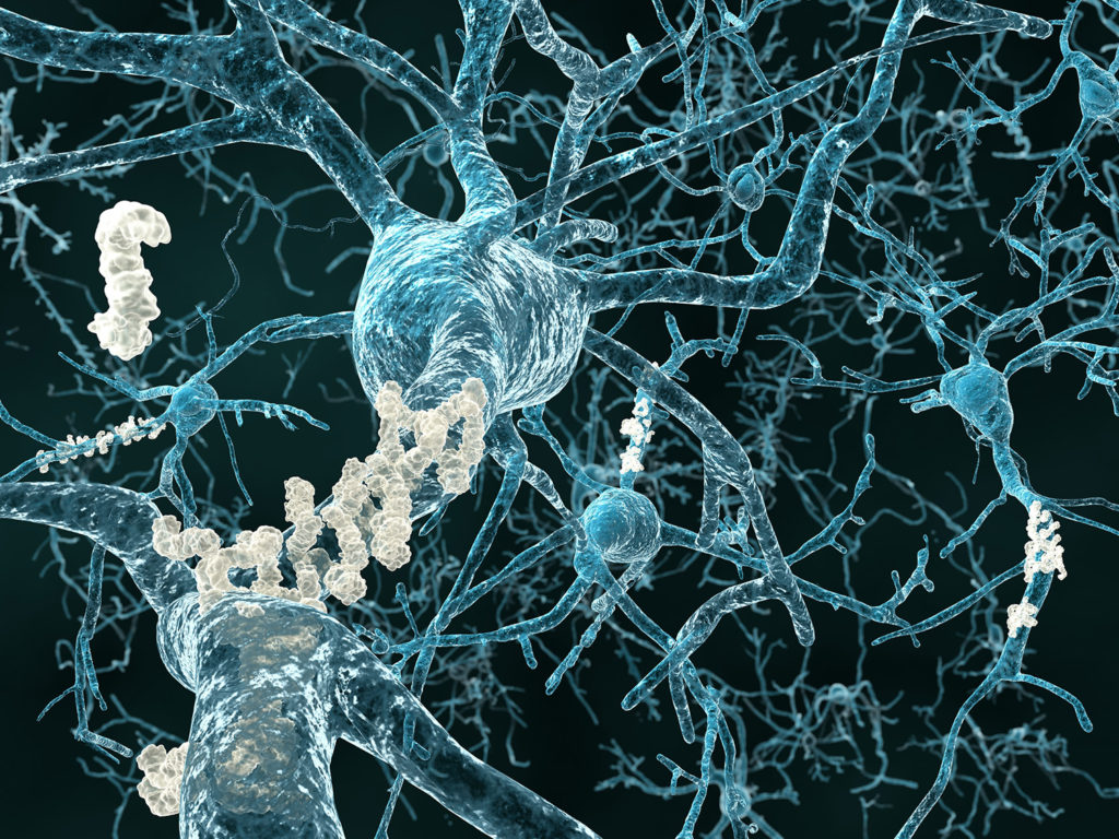 Las neuronas del hipocampo se ven gravemente afectadas por el Alzheimer, y el CDB pueden revertir este efecto