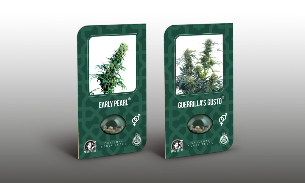 Las variedades Early Pearl y Guerrilla's Gusto son una excelente opción para los que se encuentran en zonas templadas.