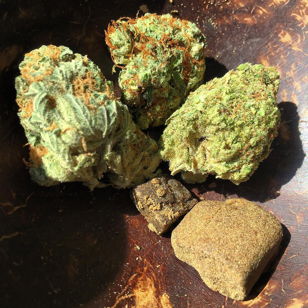 Hasj vs. wiet Sensi Seeds