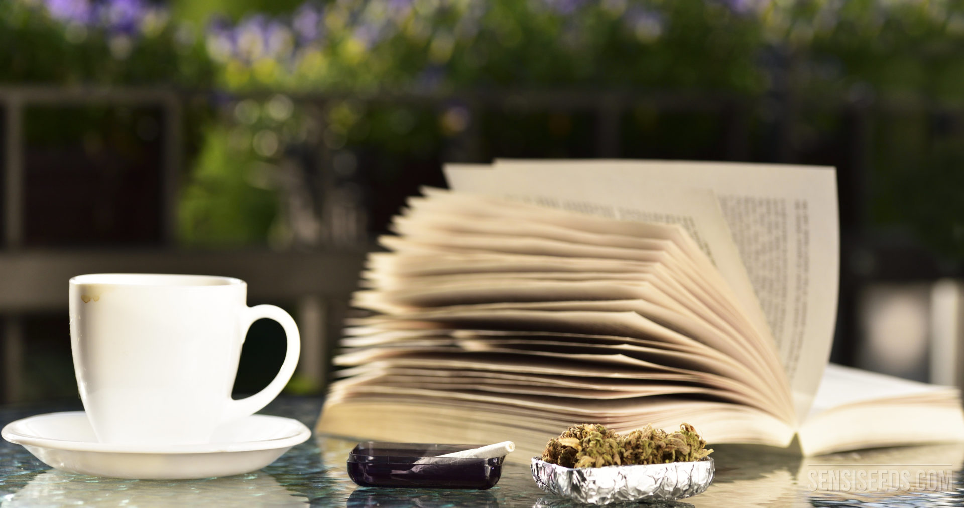 Top 5 Bücher Für Den Cannabisanbau - 