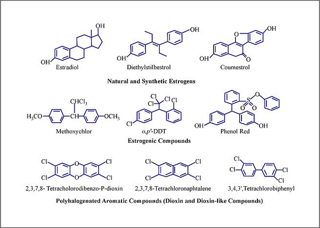 Estrogenic compounds. Polyhalogenated aromatic compounds (dioxin and dioxin-like) (©Mitopencourseware)