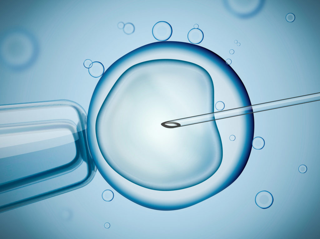 A deeper understanding of the endocannabinoid system's effect on fertility will enable us to develop targeted therapies