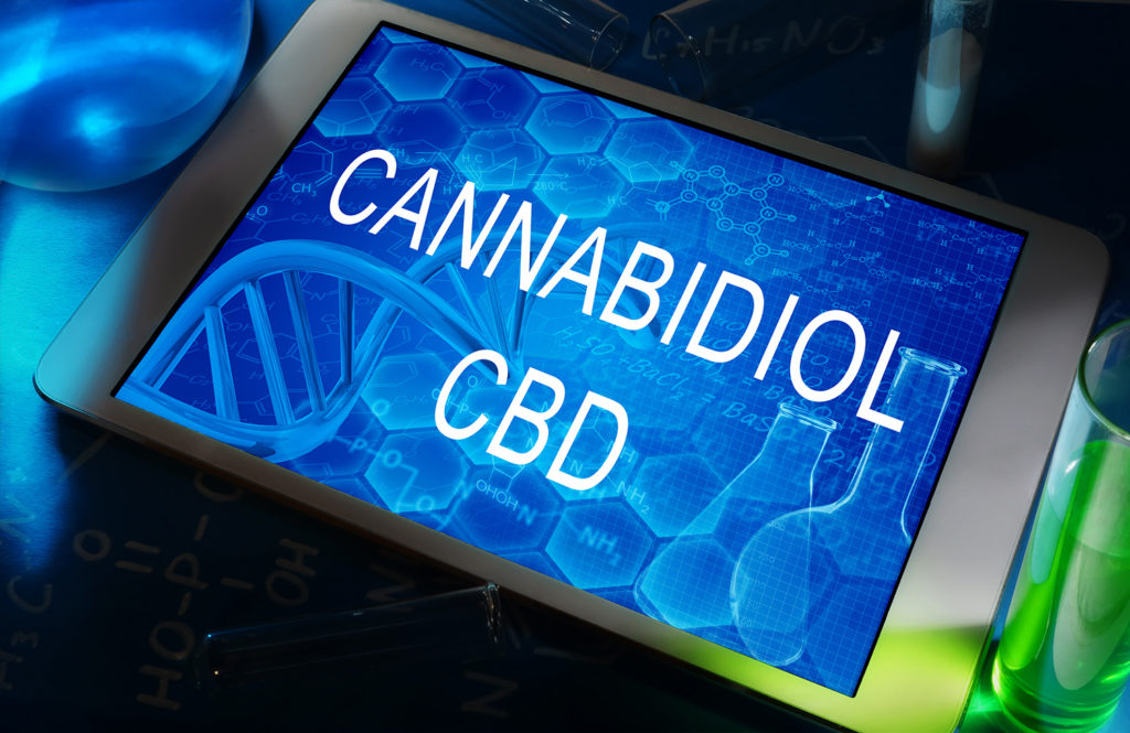 El Cannabidiol Y El Aceite De Cbd 3054