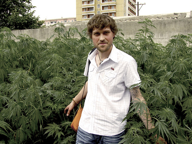 Cannabis poussant dans un jardin privé en Corée du Nord - Blog Sensi Seeds