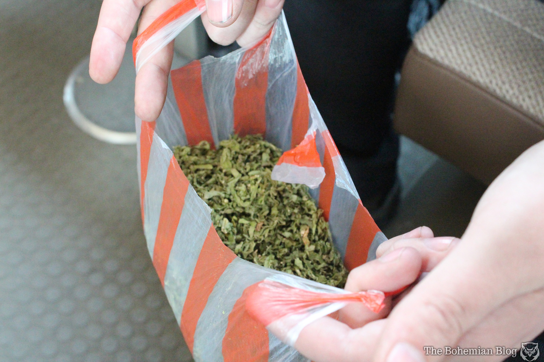 Un sac à provisions plein d’une substance ressemblant à du cannabis - Sensi Seeds Blog