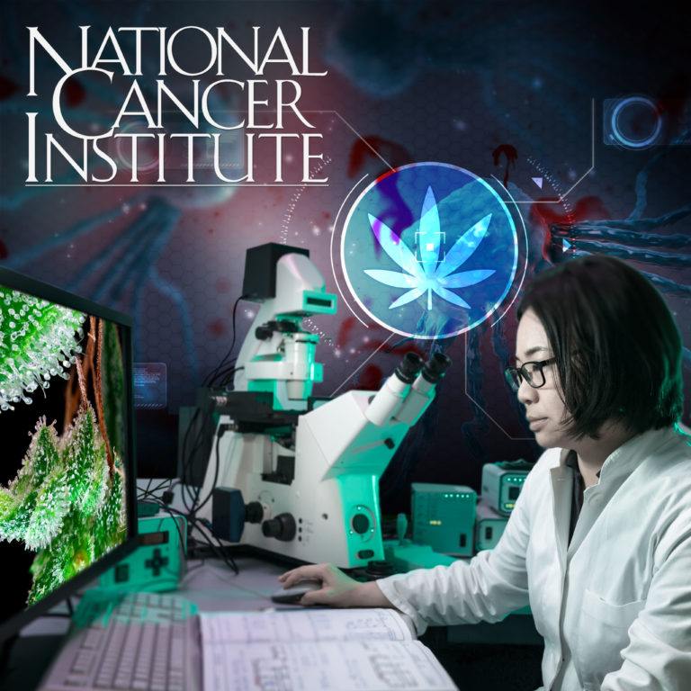 U.S. National Cancer Institute: Cannabis Kills Cancer Cells