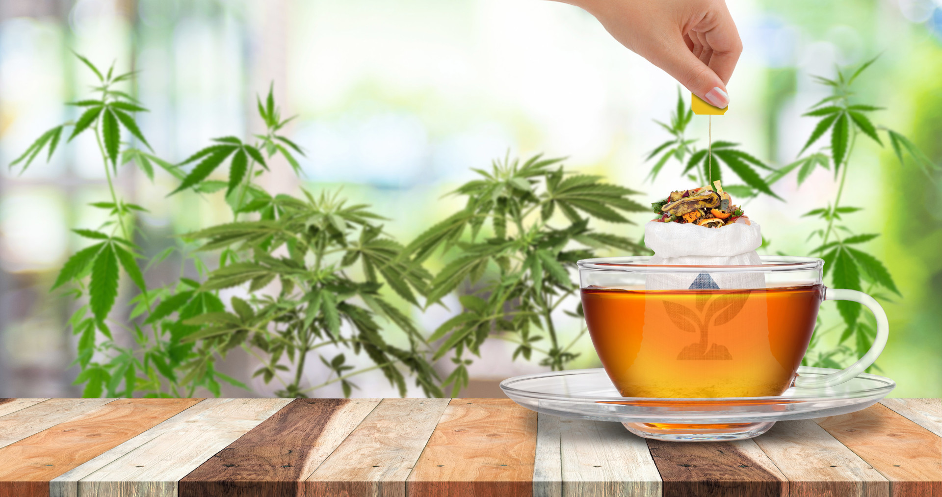 How (and why) to make organic compost tea for cannabis plants