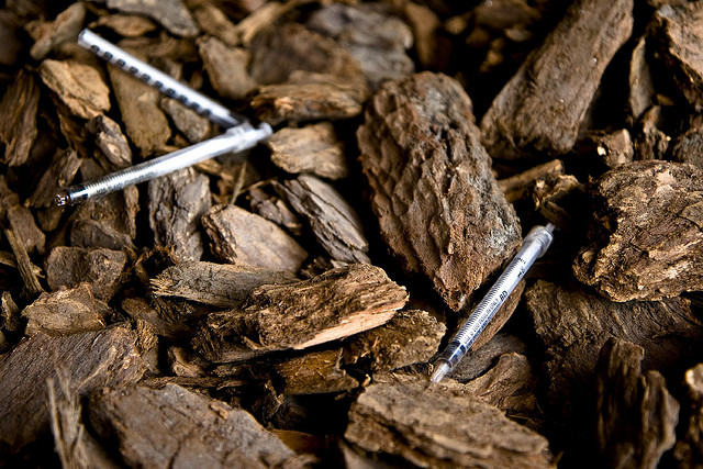 Research has even shown that blocking the cannabinoid receptors causes craving for opiates and nicotine to cease! (© JoshNV)