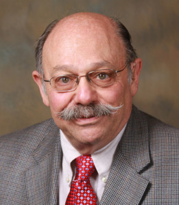 Dr David Bearman