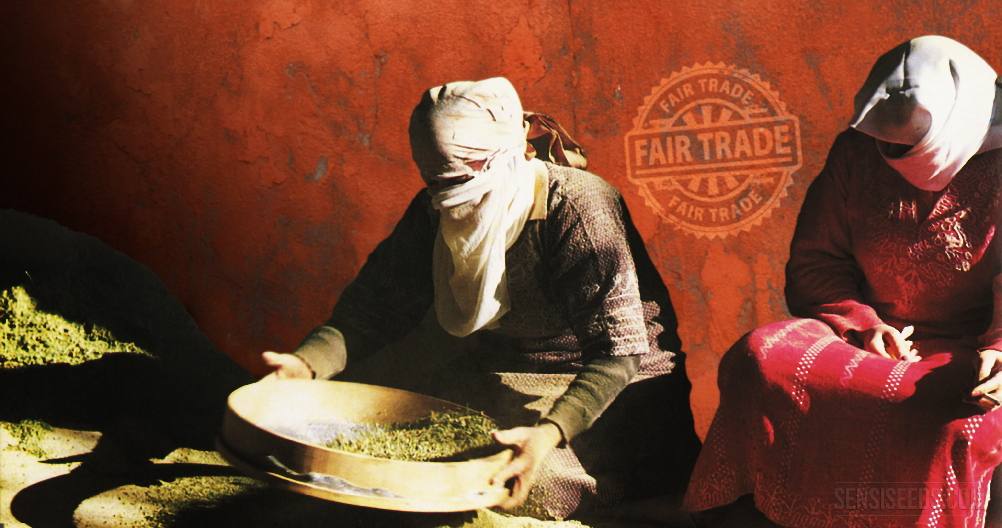 Fair-trade-hashish-How-can-we-make-it-ha