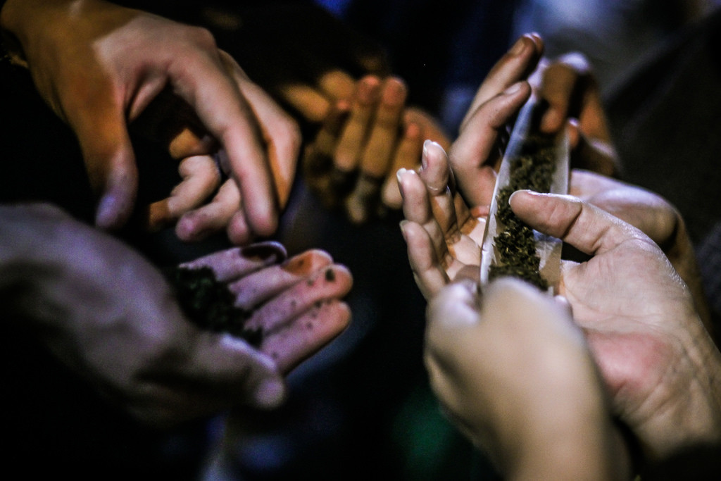 Sensi Seeds Blog